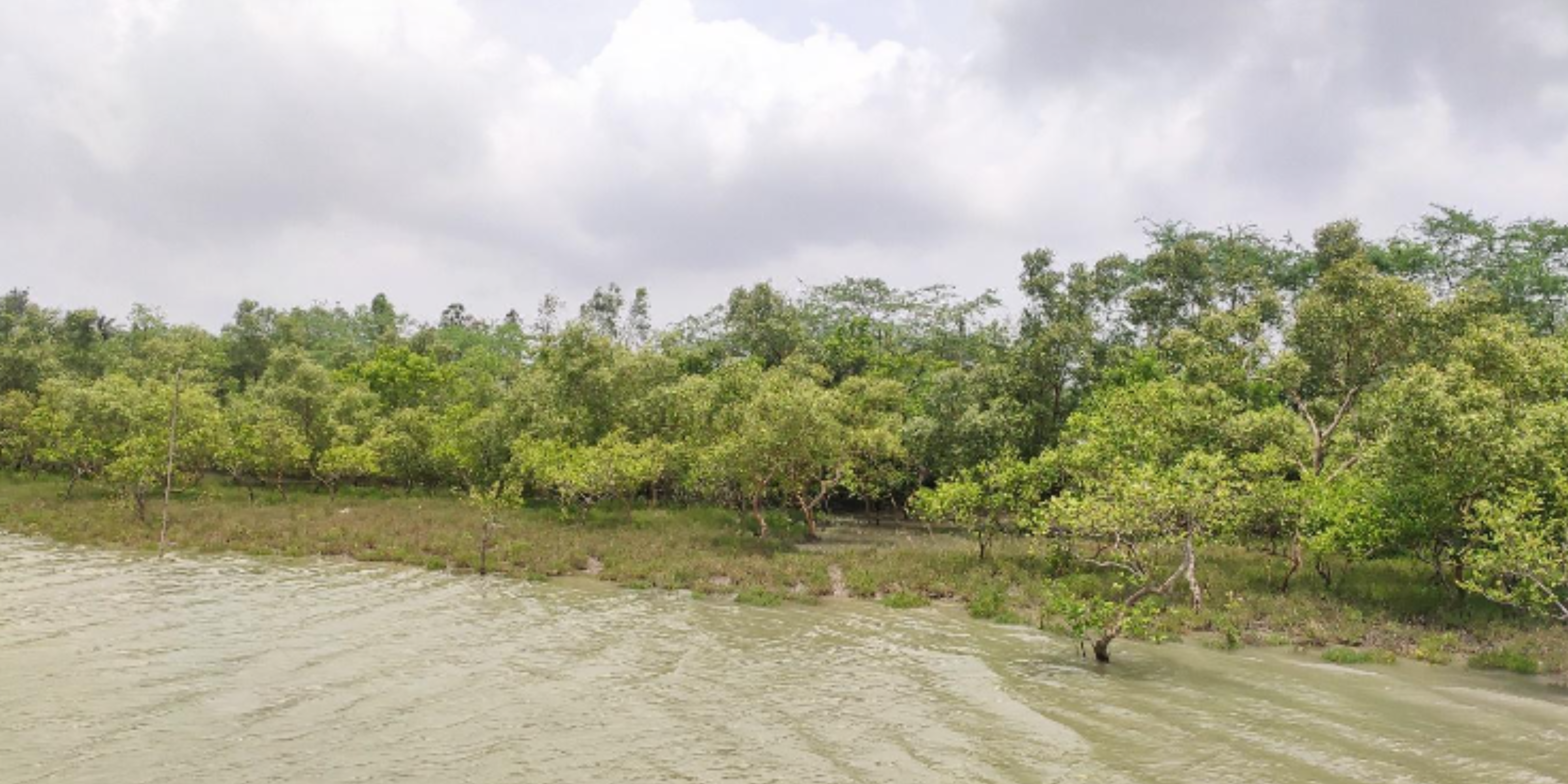 CCX https://corecarbonx.com/wp-content/uploads/2023/08/CCX.png