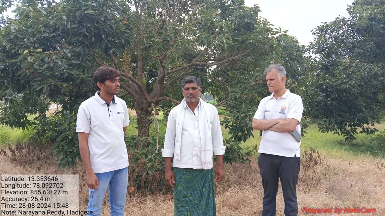 WhatsApp Image 2024-08-28 at 4.09.21 PM