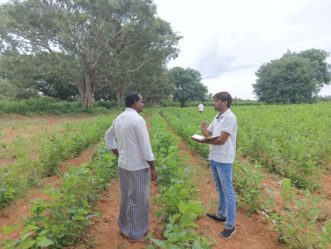 WhatsApp Image 2024-08-28 at 4.09.31 PM