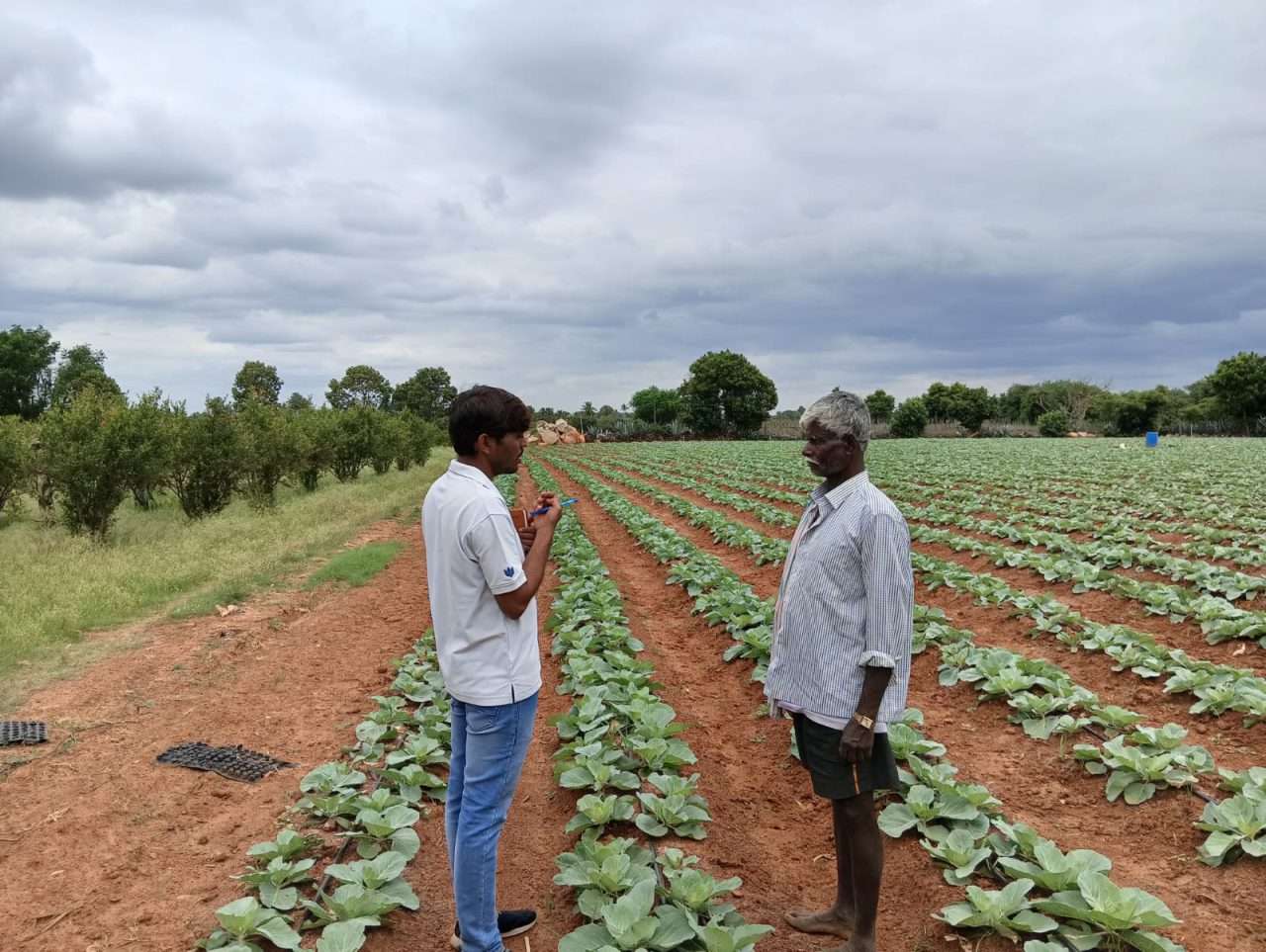 WhatsApp Image 2024-08-28 at 4.09.32 PM