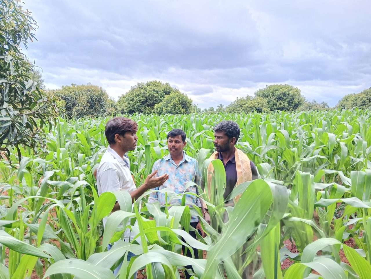 WhatsApp Image 2024-08-28 at 4.09.51 PM