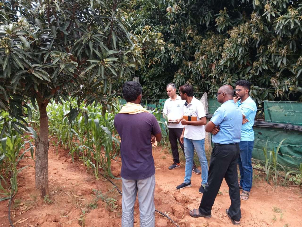 WhatsApp Image 2024-08-28 at 4.09.52 PM