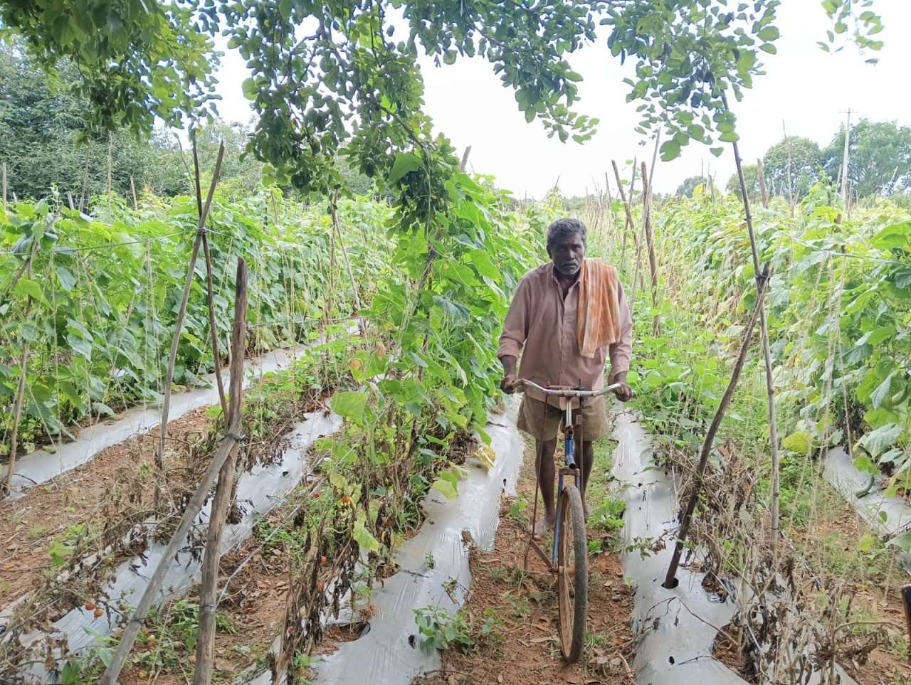 WhatsApp Image 2024-08-28 at 4.10.01 PM