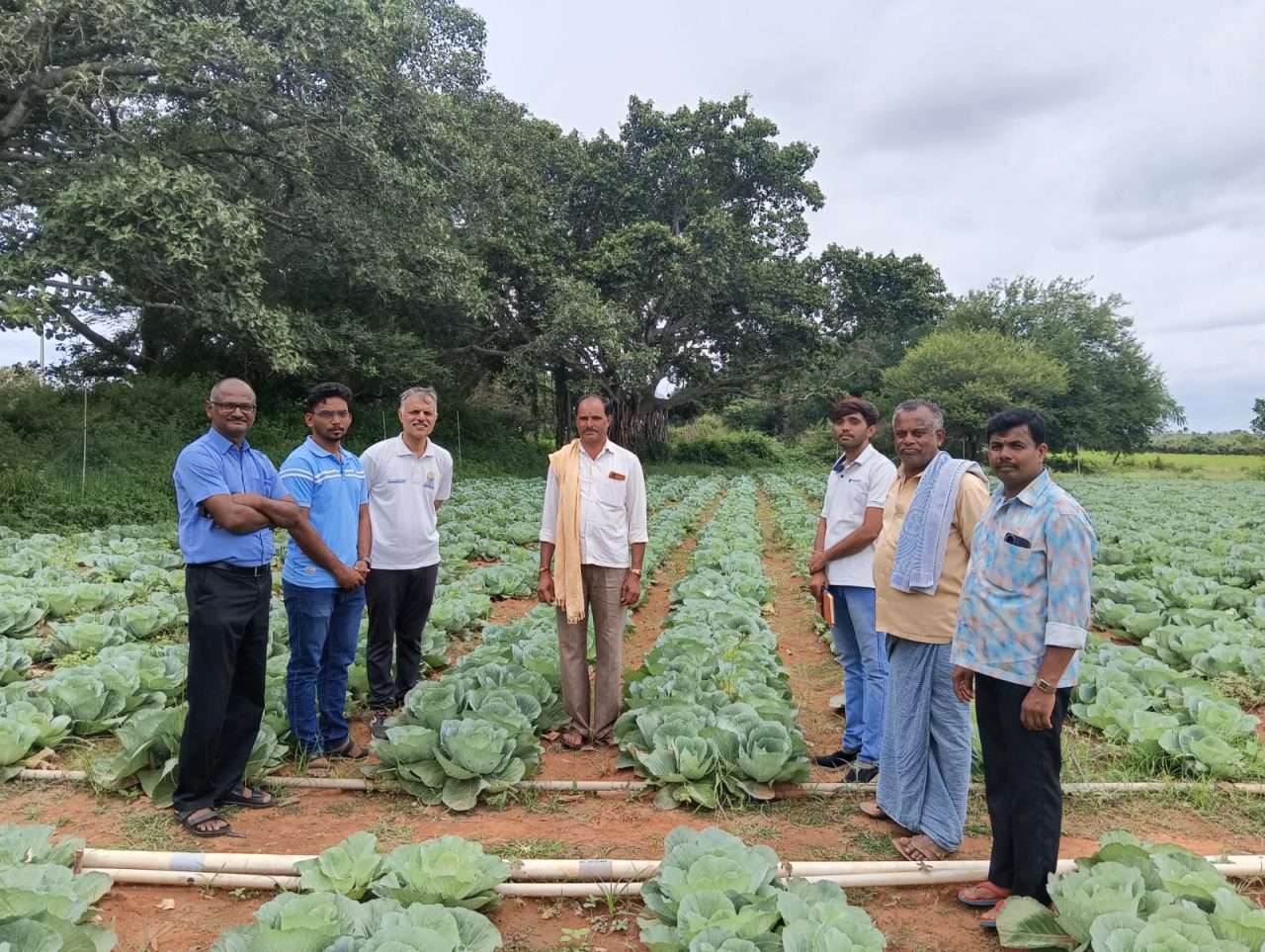 WhatsApp Image 2024-08-28 at 4.10.08 PM