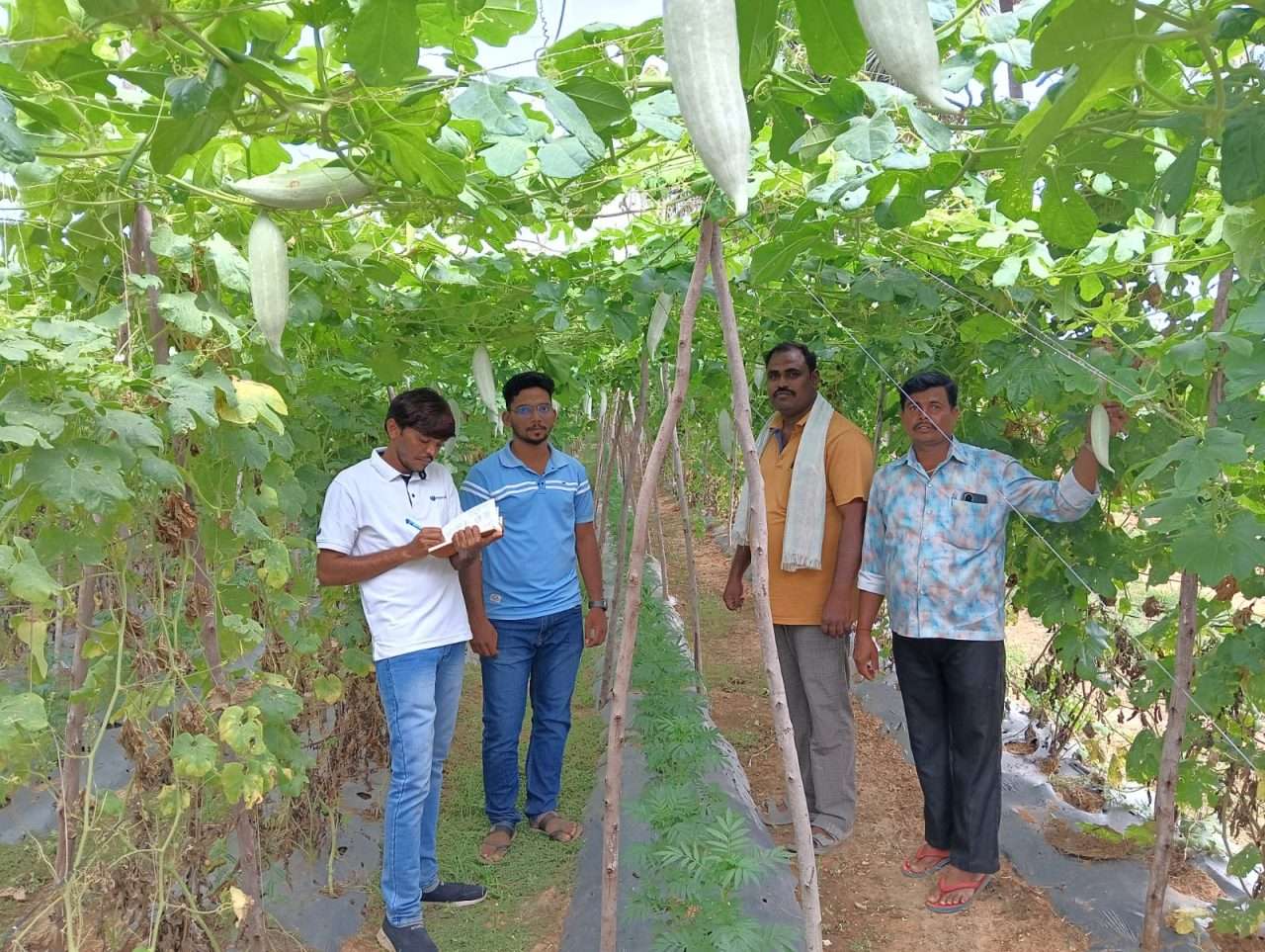 WhatsApp Image 2024-08-28 at 5.40.16 PM