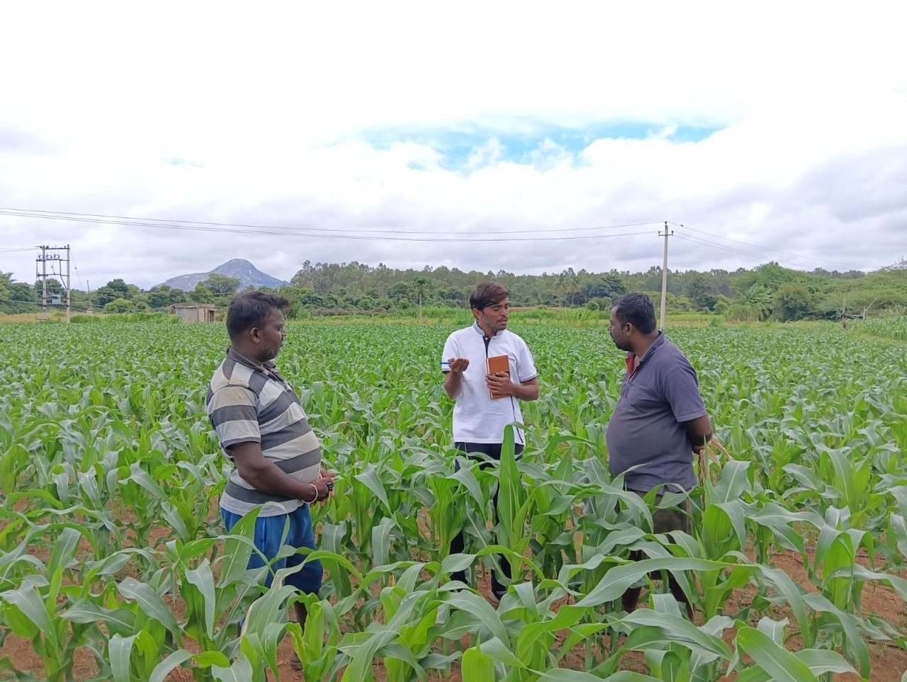 WhatsApp Image 2024-08-29 at 10.15.47 AM