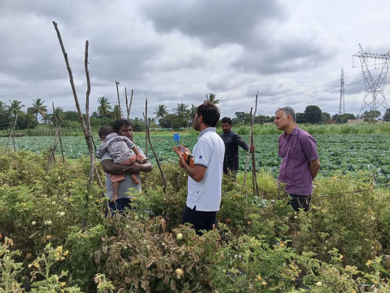 WhatsApp Image 2024-08-29 at 10.15.49 AM