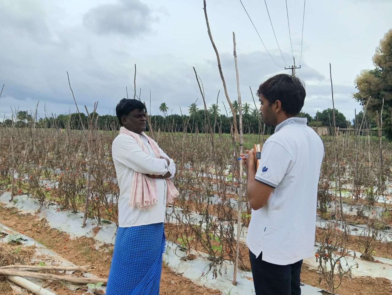 WhatsApp Image 2024-08-29 at 4.00.19 PM