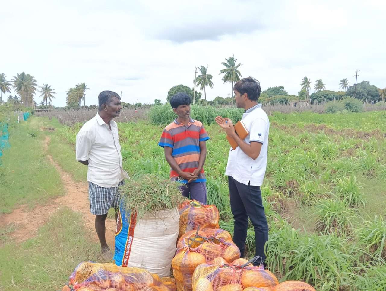 WhatsApp Image 2024-08-29 at 4.00.21 PM (1)