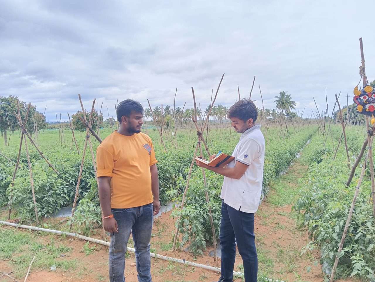 WhatsApp Image 2024-08-29 at 4.00.21 PM