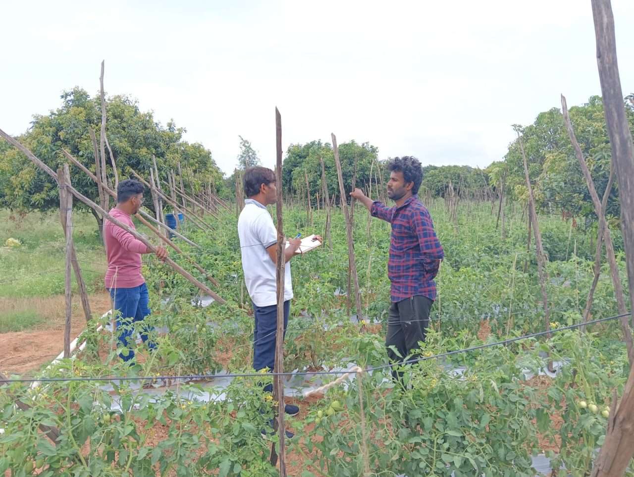 WhatsApp Image 2024-08-29 at 4.00.26 PM