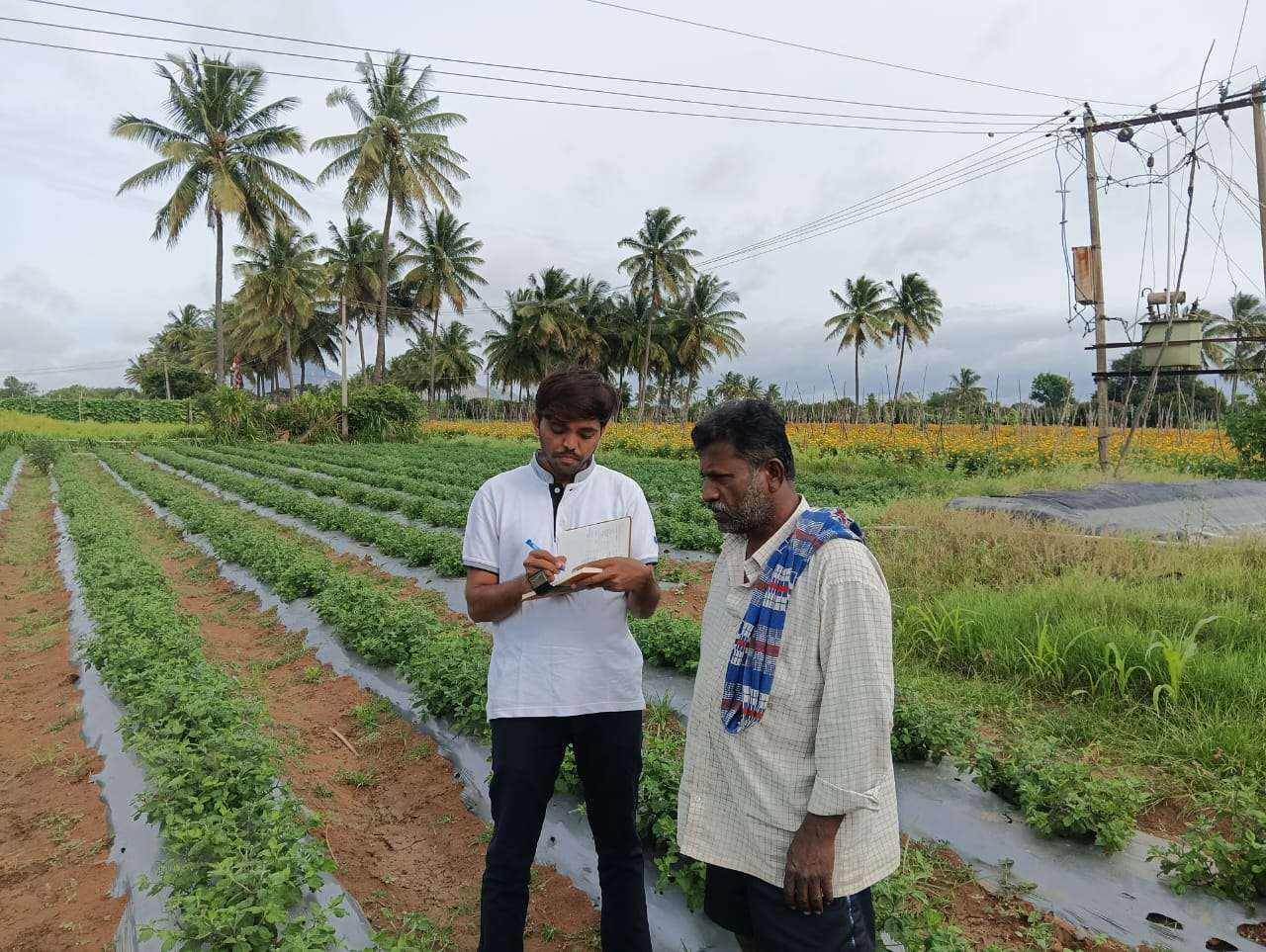 WhatsApp Image 2024-08-29 at 8.38.29 AM