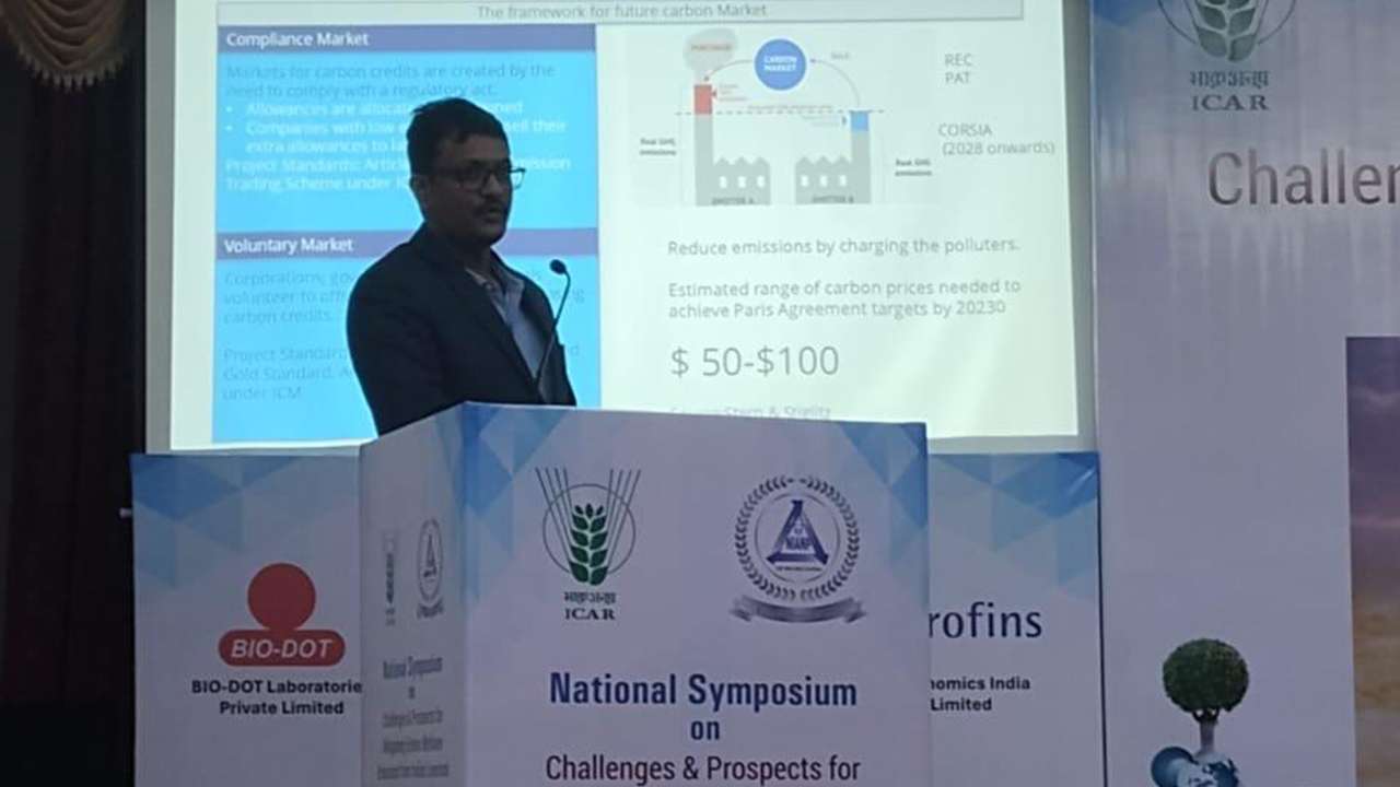 gallery-11 gallery-11