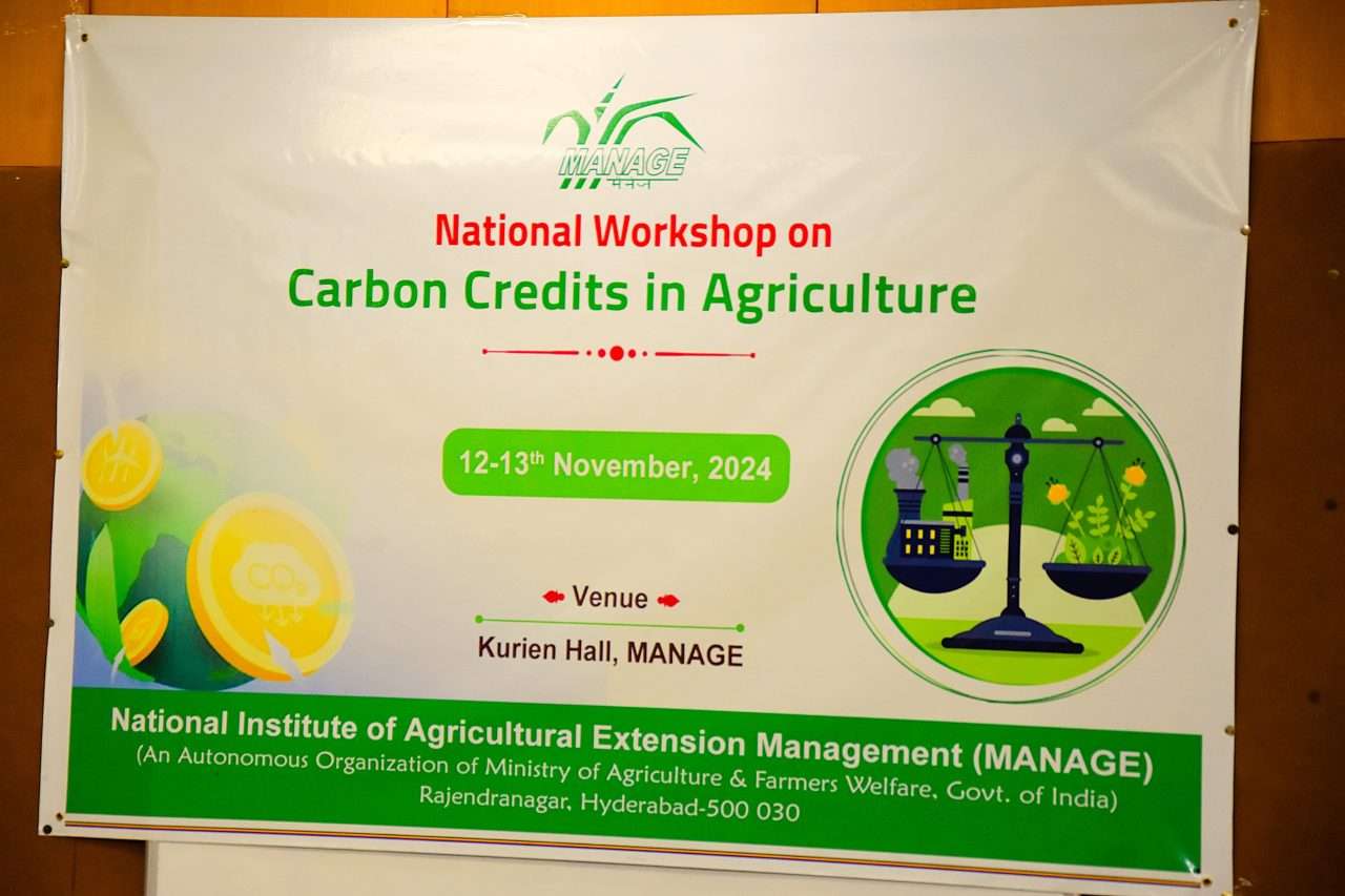 WhatsApp Image 2024-11-13 at 09.35.09_8749c750